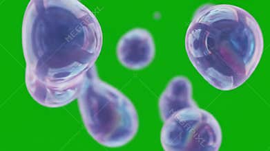 Floating iridescent bubbles, dynamic green screen animation, abstract visuals, seamless loop