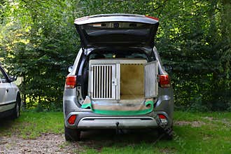 Open car trunk with large dog crate in forest parking area