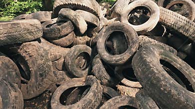 A large pile of discarded tires accumulates in a wooded area, highlighting issues of waste management and environmental
