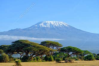 Kilimanjaro