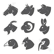 Farm animals