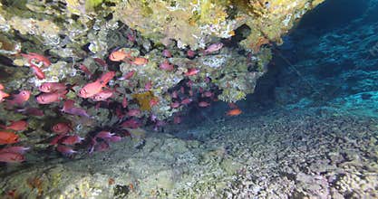 Silhouette of a scuba diver swimming in an underwater cave. A diver explores underwater cave ecosystems