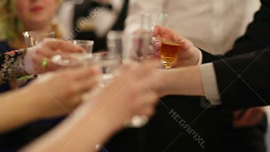 Group of people toasting at a celebration