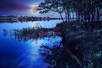 Mountain lake near forest