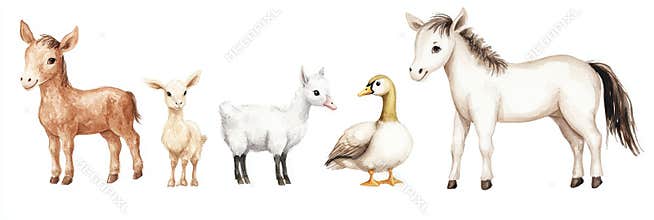 A watercolor set featuring farm animals: horse, goat, goose, donkey, and cow. Adorable hand-painted farm creatures