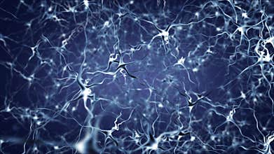 Neuron network activity