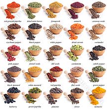 Collection of different spices and herbs