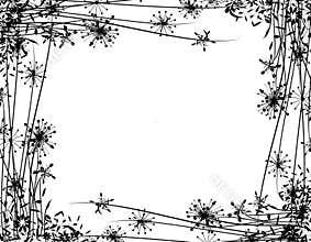 Winter Flower Garden Border