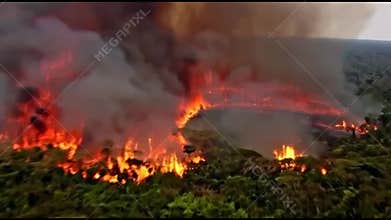 Wildfires in the Amazon Rainforest: A Growing Crisis