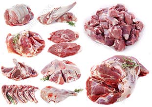 Lamb meat