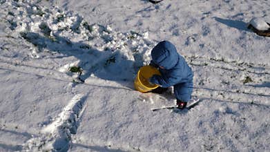 Kid Plays in Snow