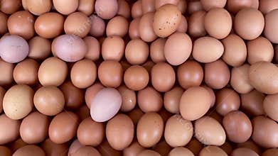 Pile of broiler chicken eggs at the trader