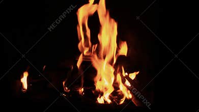 Real fire, close-up. Flames and ember!