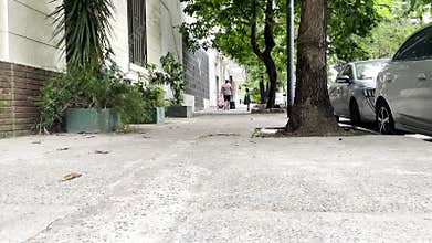 Green outdoors city path, a beautiful landscape of trees and nature. Summer travel and tourism,
