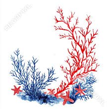 Lovely array of underwater sea life illustrations in watercolor