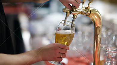 Draft beer pouring