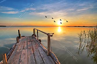 A lake with birds