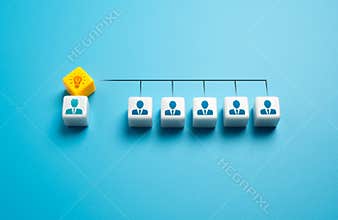 Delegation of ideas and assignments. Leadership, management of subordinates.