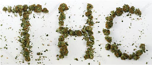 THC Spelled With Marijuana