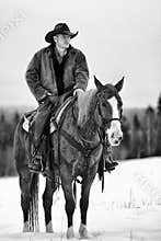 Lone cowboy in horse