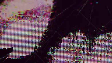 Broken LCD defect display spread black liquid