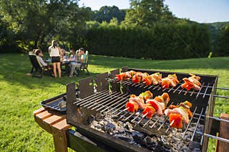 Barbecue in the backyard