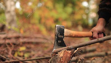 Woodcutter