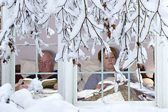 Winter Hibernation