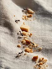 Ants Marching Across a Picnic Cloth Gathering Food Crumbs at an Outdoor Gathering During Sunny Afternoon Generative AI