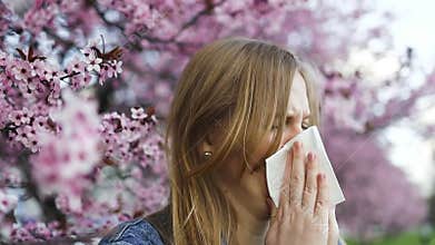 Woman with allergies sneezing under pink cherry blossoms in spring