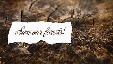 Save our forests message on tree trunk