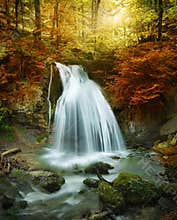 Forest waterfall