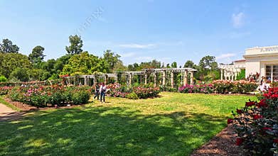 footage of a gorgeous spring landscape with colorful flowers at Huntington Library and Botanical Gardens in San Marino California