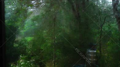 View through the glass window of the tree branch and green leaves swaying.