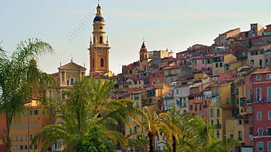 View of palm trees with the colourful bu