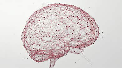 Artificial Intelligence Brain Model with Red Dots and Wireframe on White Backdrop