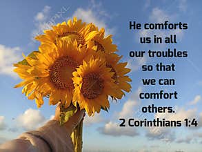 Bible verse quote - He comforts us in all our troubles so that we can comfort others. 2 Corinthians 1:4 with sunflowers bouquet.