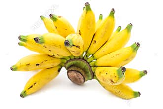 Lady Finger Banana