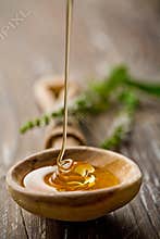 Wild honey