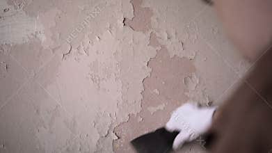 Female builder or repair worker removing old painted from wall. House renovation and renewal