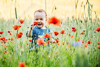 Child in a blooming poppy field on a sunny day
