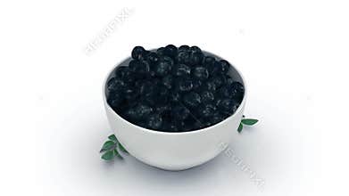 The amazon acai fruit