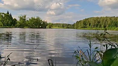 A calm summer lake with reflections of the forest and blue sky with a slight breeze and a curious dragonfly.