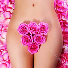 Concept of Waxing Bikini. Pink Roses on body