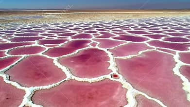 Pink Salt Lake aerial photo landscape
