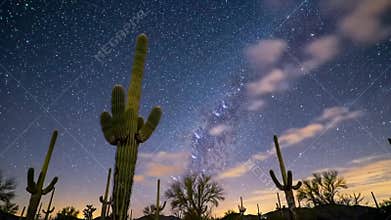 Desert Night Sky: Time-Lapse of Milky Way Over Cacti in Arizona Landscape