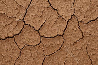 Intricate network of dry earth fissures revealing textured patterns of arid ground surface detail