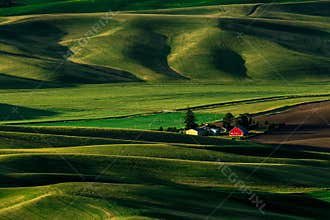 Farm in the Hills of the Palouse, Washington State