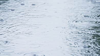Experience the calming ambiance of gentle rain on water, captured in beautiful closeups