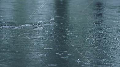 Raindrops gently falling on the waters surface create a serene and tranquil natural scene